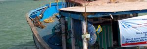 Madras Deep Sea Artisanal Fishers